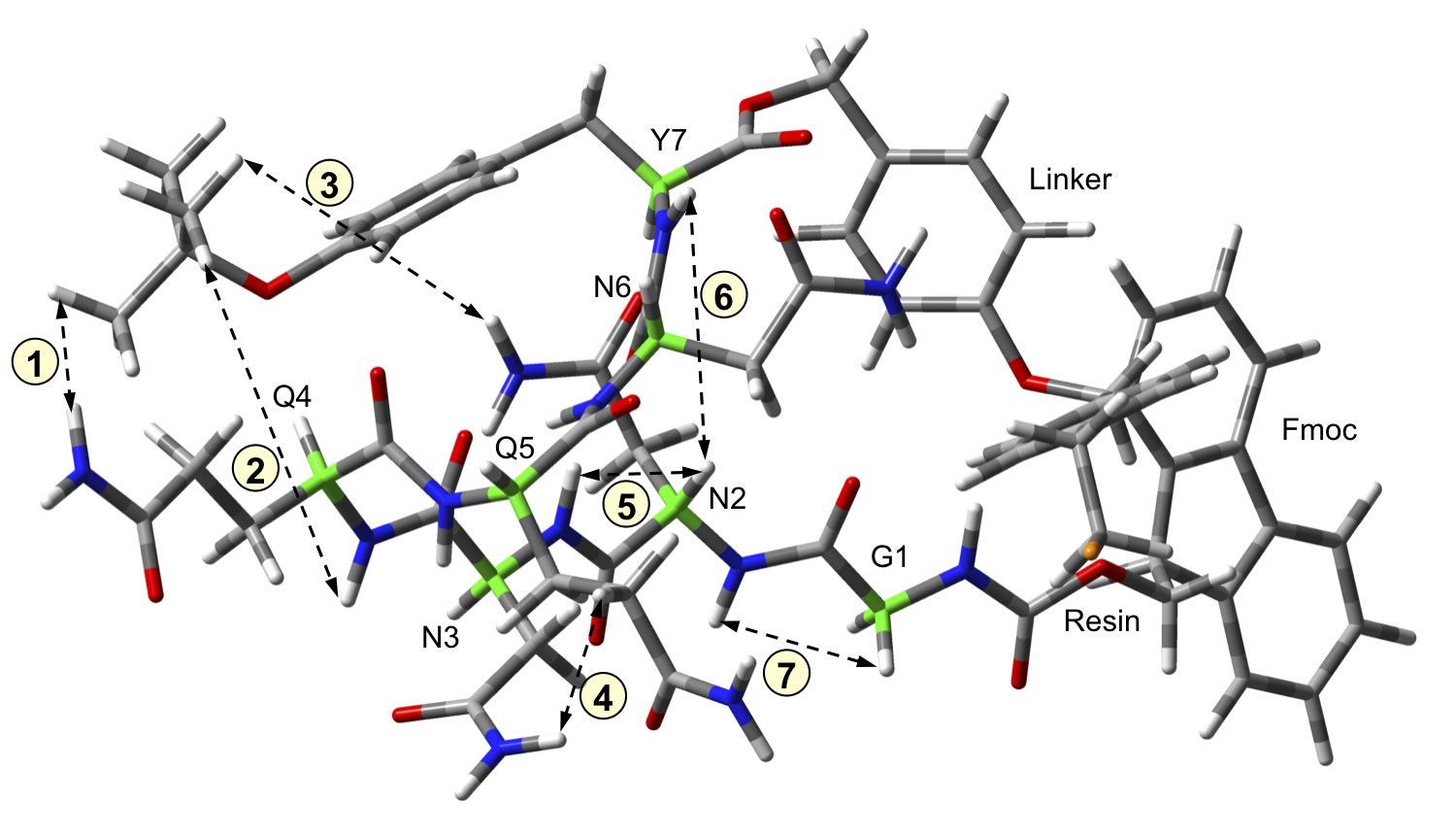 GNNQQNY structure