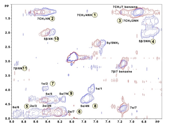 ROESY Gel-Phase NMR