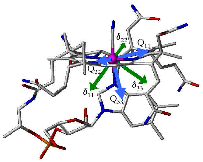 Side View of Cobalt Tensors in Vitamin B12