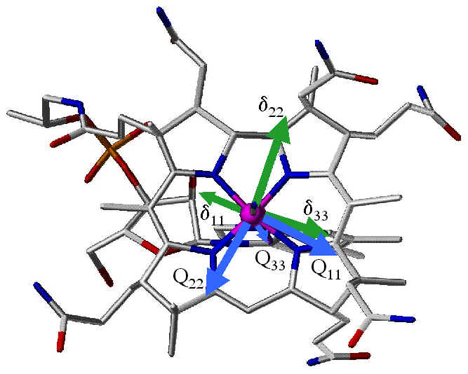 Top View of Cobalt Tensors in Vitamin B12